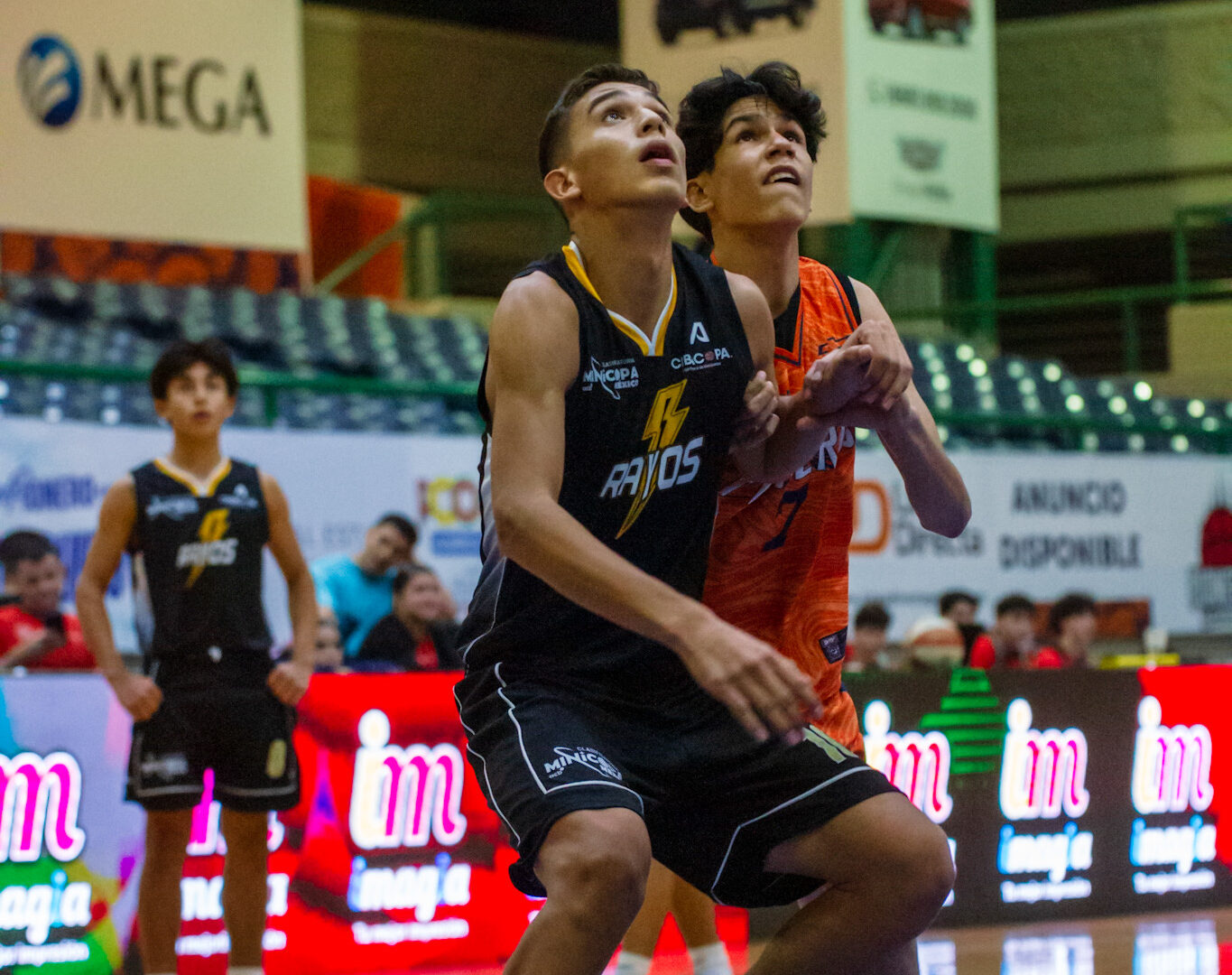 Pioneros de Los Mochis queda fuera en cuartos de la MINICOPA.