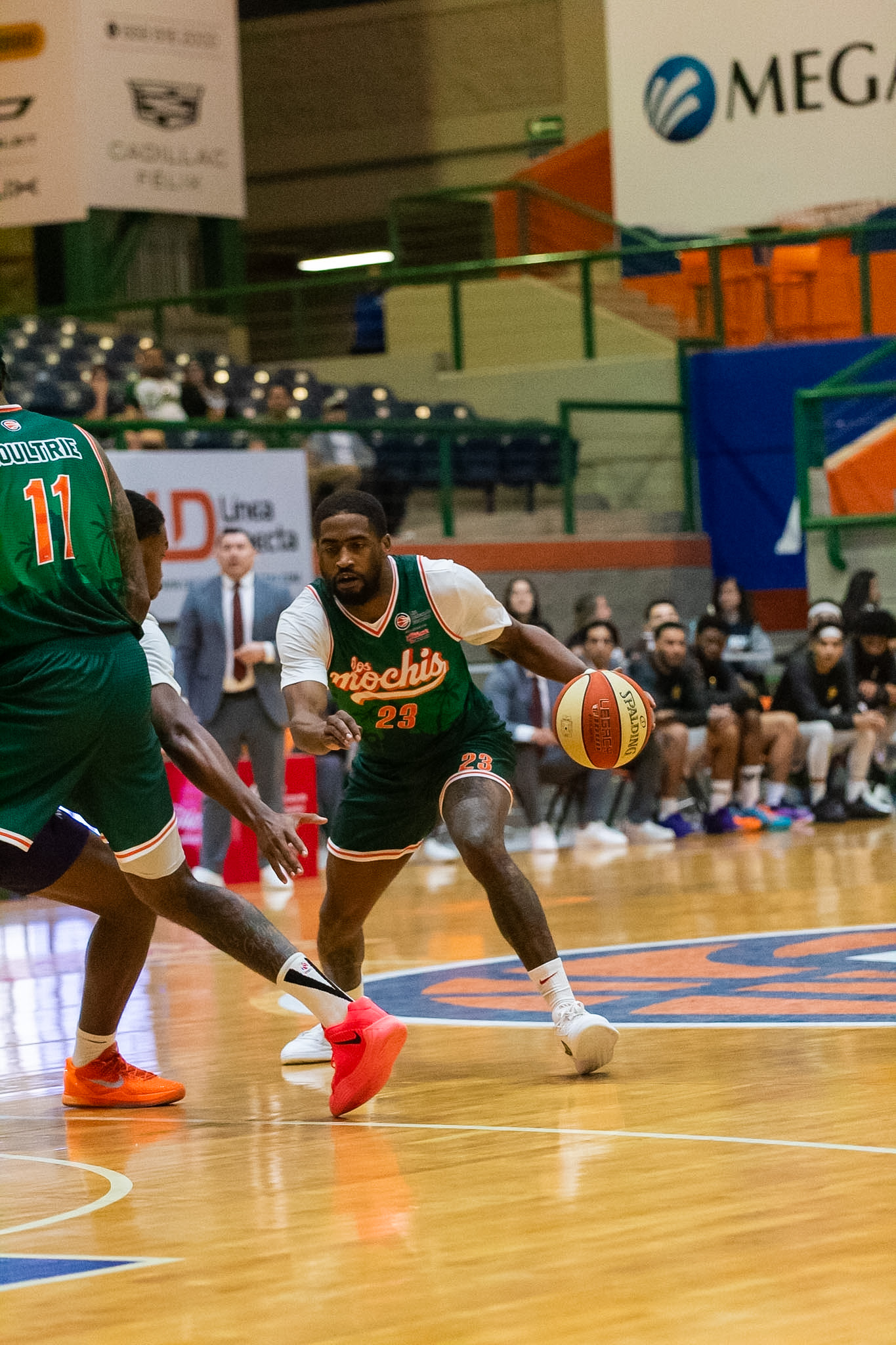Pioneros no pudo cerrar de buena manera ante Venados en el segundo juego.